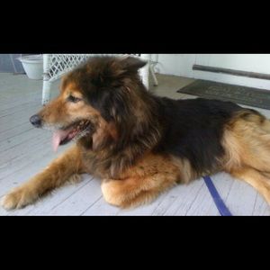 Meet your Posher, Heidi